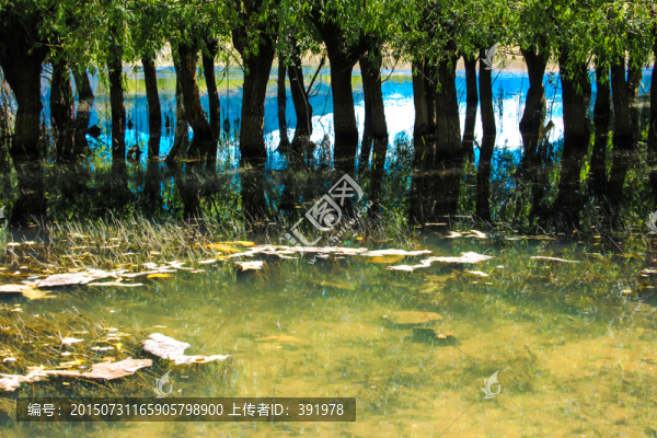 高原湖泊