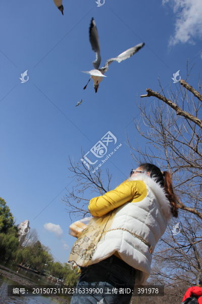 飛翔的鳥