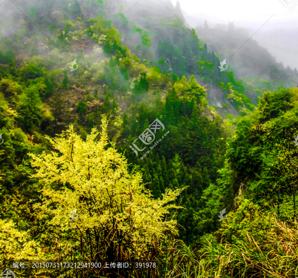 清晨高山