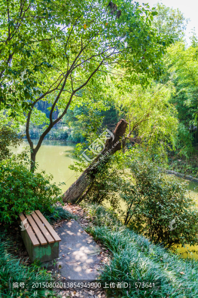 長椅,公園,河邊