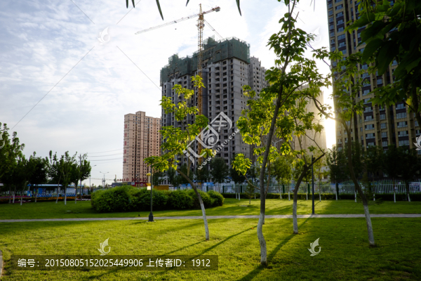 城市綠化
