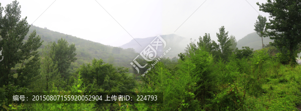 煙雨蒙蒙賽江南