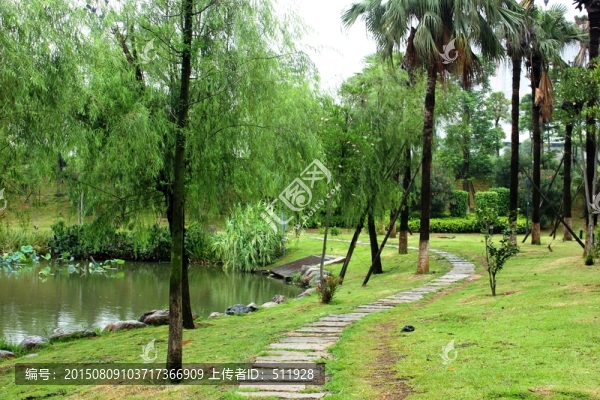 晉江竹樹下公園風(fēng)光