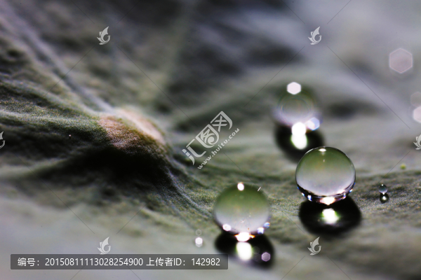 露珠