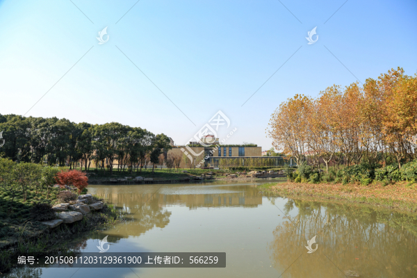 公園,濕地