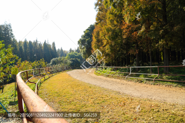 森林公園