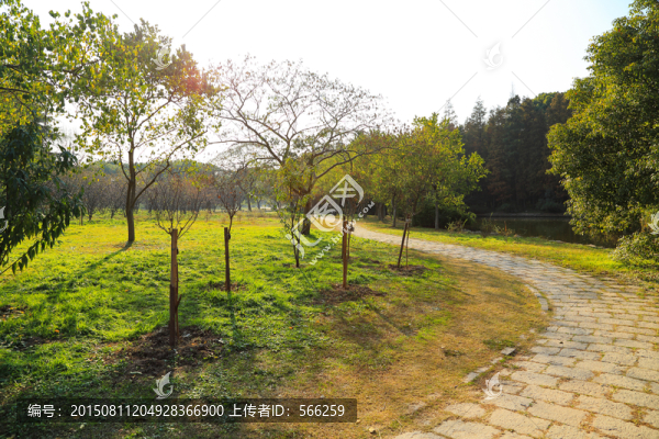 森林公園