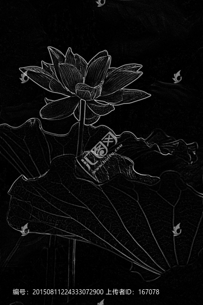 裝飾圖案,荷花素材