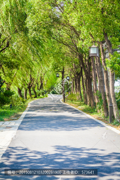林蔭道路