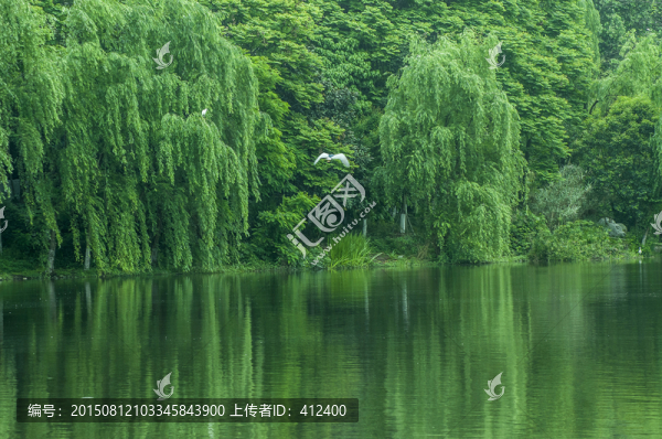 春綠