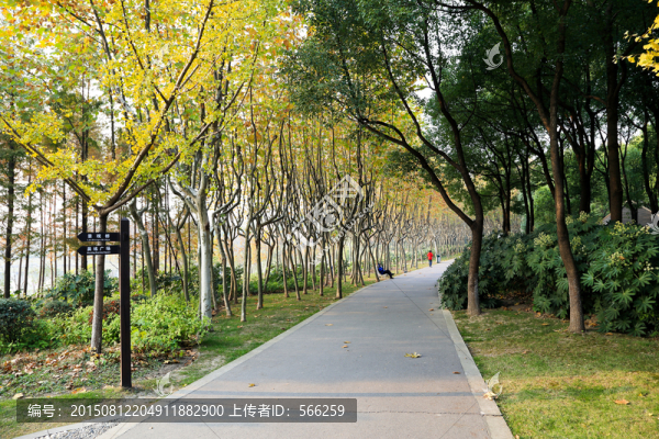 城市綠地