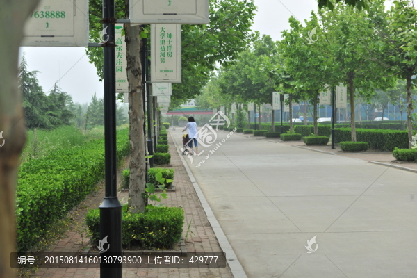 小區(qū)風(fēng)景,道路