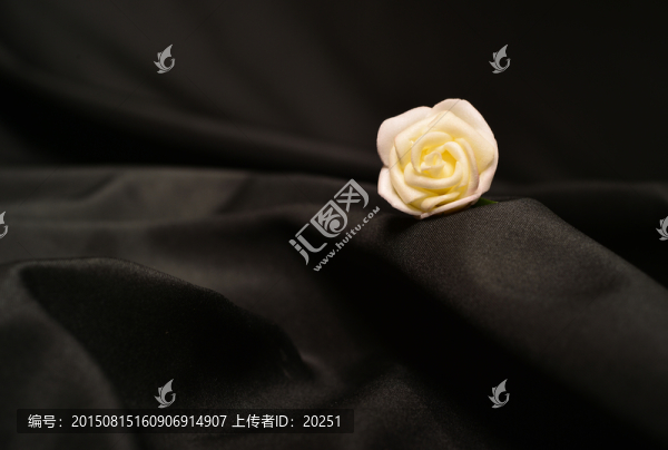 玫瑰花背景