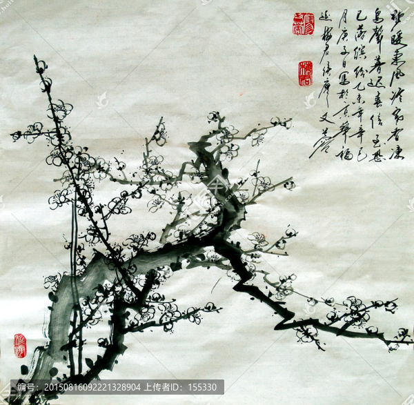 中國畫白梅花