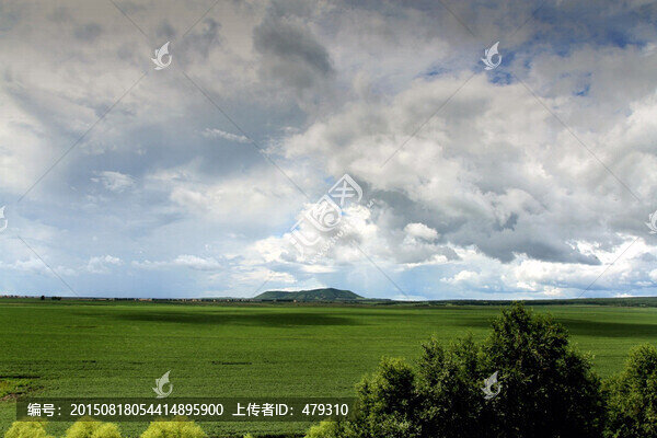 大豆田,黃豆