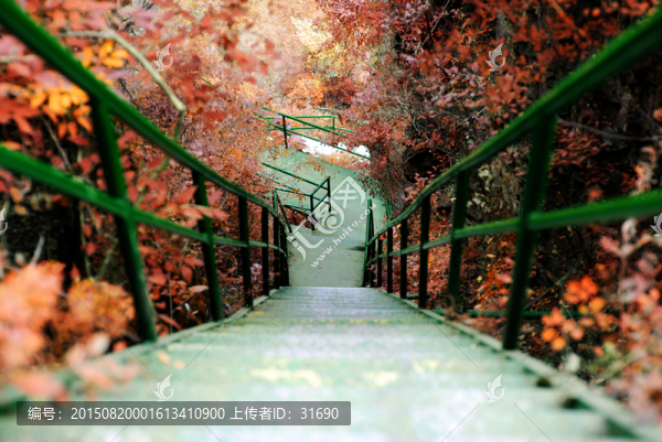 葉路