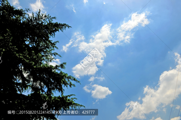 天空,藍天,白云