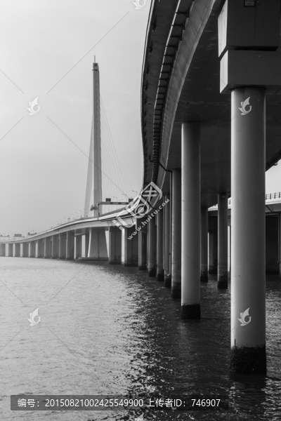 深圳灣大橋