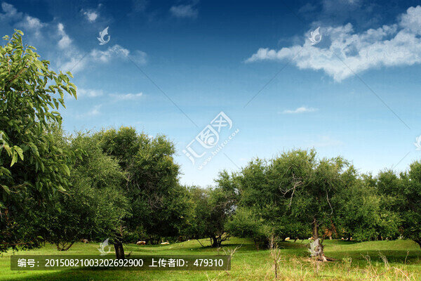 大慶,壽山