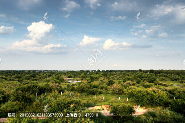 大慶,壽山