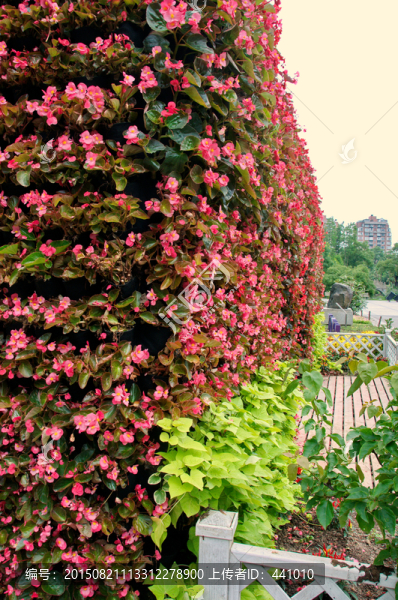 上海植物園