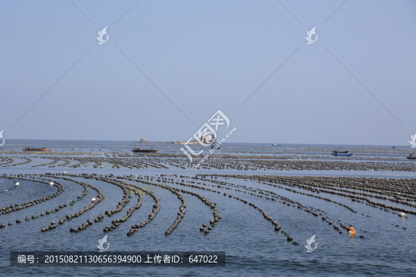 大海,海洋養(yǎng)殖
