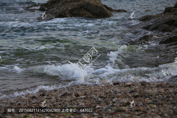 海邊,海洋