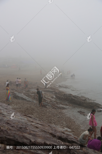 海邊,撿貝殼