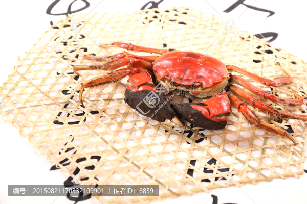 陽澄湖大閘蟹