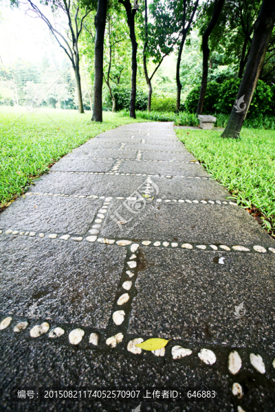 公園,道路