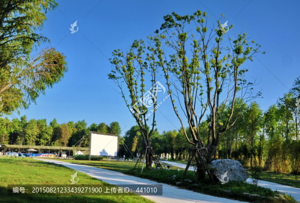 上海海灣國家森林公園