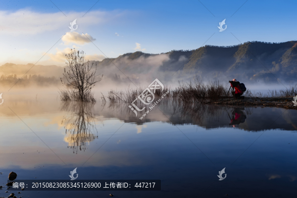 黑頸鶴棲息地