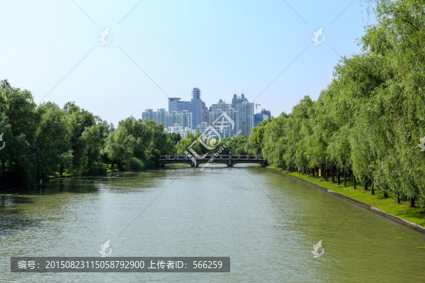 世紀(jì)公園,濕地