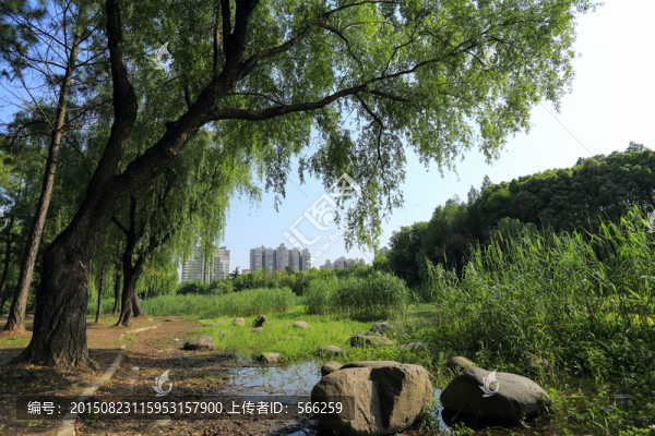 世紀公園,濕地
