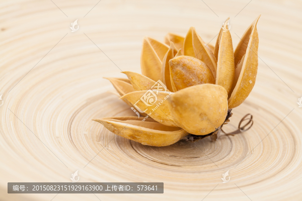 棉花殼干花