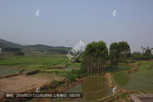 農(nóng)村