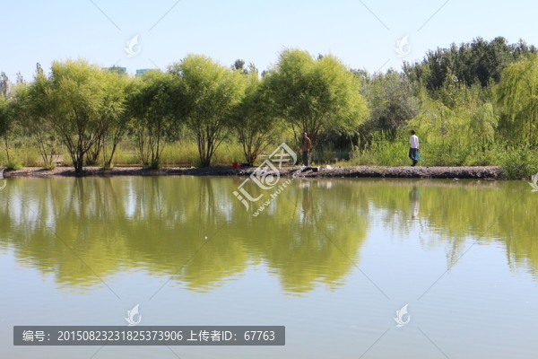 綠色的池塘