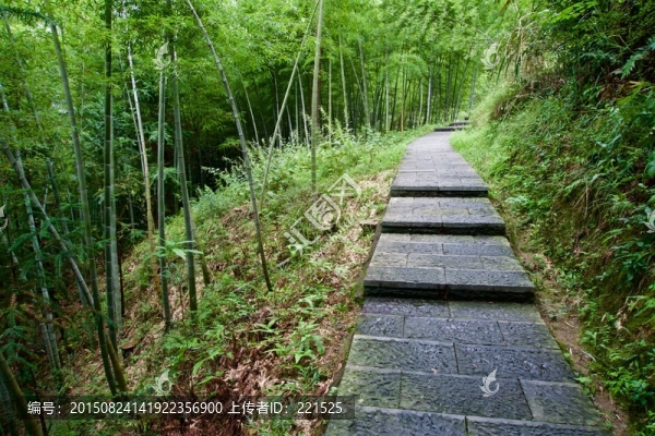 磐安百杖瀑