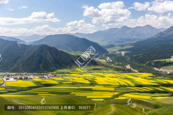 祁連縣丹霞地貌公園油菜花海