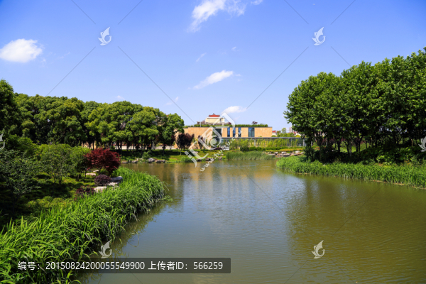 濕地公園