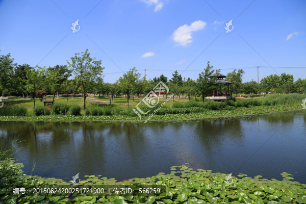 濕地公園
