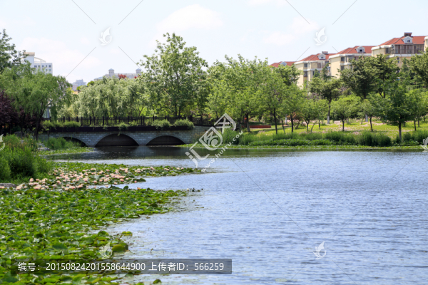 濕地公園