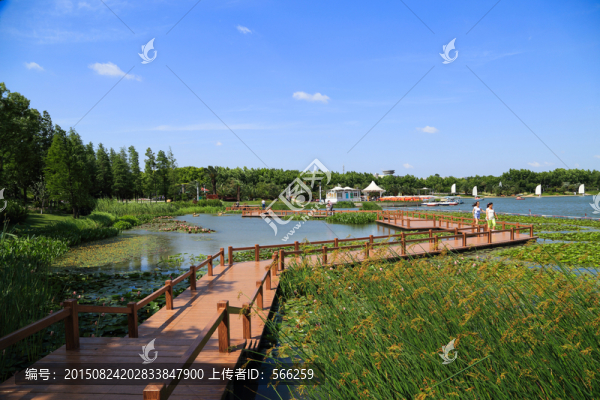 濕地公園