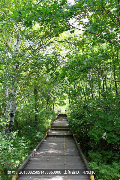 五大連池,世界地質(zhì)公園