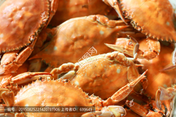 八月蟹正肥