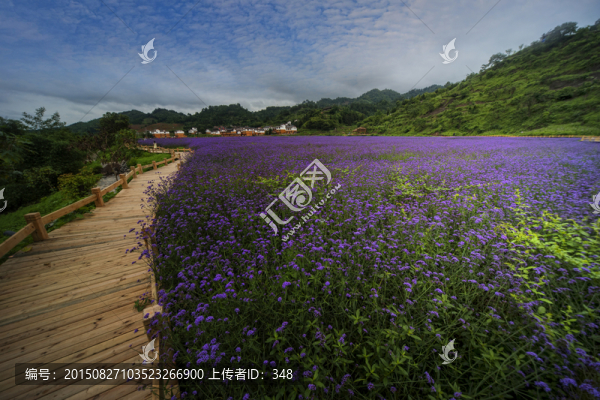 荔波漳江花谷
