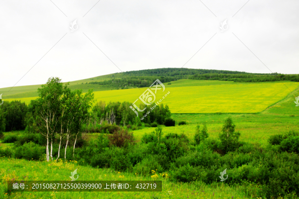 田野風(fēng)光