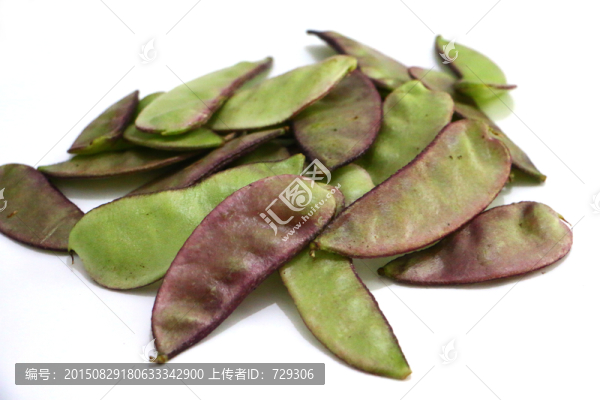 紫紅扁豆
