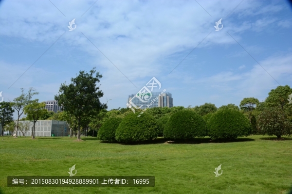 園林設(shè)計