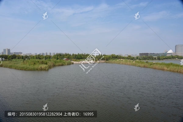 城市綠化